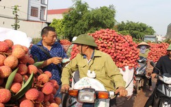 Hàng trăm thương nhân Trung Quốc mua vải thiều ở Bắc Giang