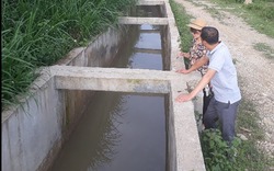 Lai Châu: Chậm thu hồi hàng chục tỷ đồng dư ứng của doanh nghiệp