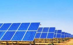 Công ty Ấn Độ đưa vào sử dụng nhà máy điện Mặt Trời tại Việt Nam