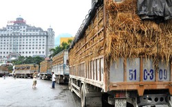Phí logistics “trên trời”, đẩy giá nông sản Việt lên cao