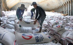 Trung Quốc xả lượng tồn khổng lồ, ngành gạo chịu áp lực lớn