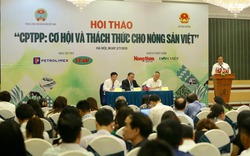 Trăn trở của nông dân, doanh nghiệp Việt trước cơ hội từ CPTPP