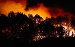 Rừng Hà Tĩnh lại cháy lớn, hàng trăm người lên núi Nầm suốt đêm dập lửa