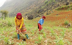 Lũng Hồ khó khăn trong xây dựng nông thôn mới