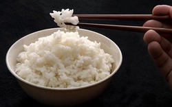 Loại gạo nấu cơm lâu thiu, do giống lúa hay do gạo?