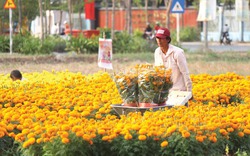 10 năm Bình Chánh nở hoa