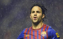 Fabregas muốn đoạt “cú ăn ba” cùng Barca