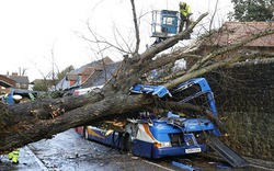 Tan hoang sau gió bão kinh hoàng ở Anh