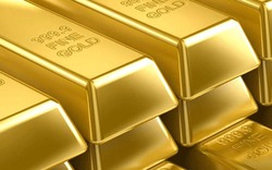 Dự kiến nhập 2,5 tỷ USD vàng