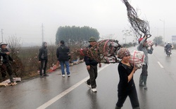 Nguy hiểm bán đào dưới lòng đường