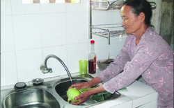 Nông dân nghèo đón Tết thêm vui nhờ nước sạch