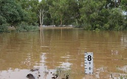 Australia phải sơ tán lớn chưa từng có vì lũ lụt