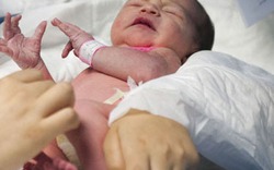 11 trẻ sơ sinh chết bất thường trong bệnh viện
