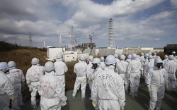Vào Fukushima 1 sau gần một năm xảy ra thảm họa