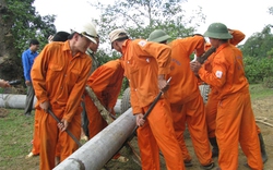 EVN “tiêu tạm” cả tiền dân trong quỹ bảo vệ rừng