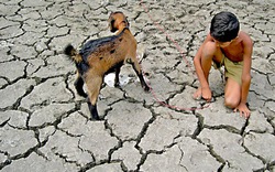 Nông thôn Ấn Độ khát nước