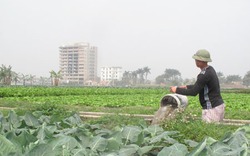 Lấy đô thị “đỡ” nông thôn