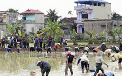 Vụ hai thôn của thủ đô tranh giành đất: Sẽ đối thoại với dân