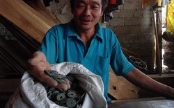 Nghệ An: Cày ruộng trúng một... hũ tiền cổ quý