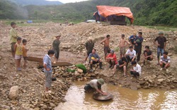 Khai thác vàng, &#34;thịt&#34; luôn đất lúa của dân