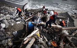 Nhật Bản: 1 năm nhìn lại sau thảm họa kinh hoàng