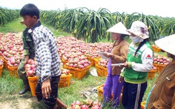 Bỉ muốn hợp tác nhập nông sản Việt