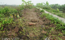 Vụ Tiên Lãng: Thanh tra  huyện... vào cuộc