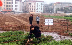 Hà Nội: Hàng trăm ngôi mộ biến mất trong đêm