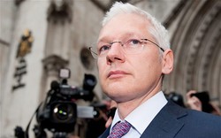 Trùm WikiLeaks sắp chạy đua vào Thượng viện