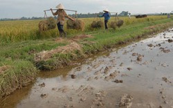 Nhiều lợi ích lớn cho nhà nông