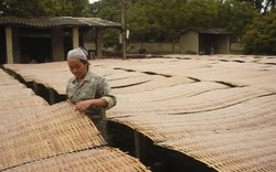 Thêm vốn cho làng nghề miến dong