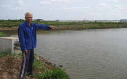 Vĩnh Long: Dự án sinh thái thành nơi gây ô nhiễm