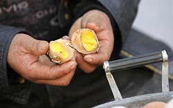 Trứng luộc nước tiểu thành… di sản văn hóa