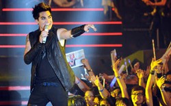 Adam Lambert làm fan Việt đứng ngồi không yên