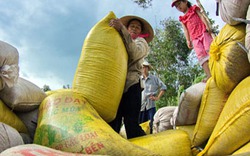 Doanh nghiệp phải là đầu tàu