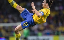 Ibrahimovic đấu võ lấy… website?