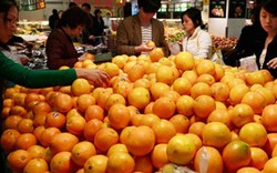 Phát hiện cam Trung Quốc nhuộm màu độc hại