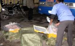 Quảng Bình: Bắt xe khách chở 500kg thịt thối