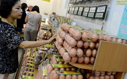 C.P thừa nhận tăng giá trứng thiếu hợp lý