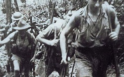 Lính Australia từng quan hệ đồng tình: “Tiệc sex” trong rừng già