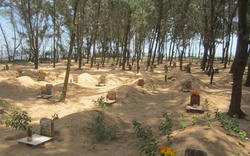 Chuyện kỳ lạ về nghĩa địa có hàng trăm ngôi… mộ cùng tên