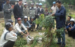 Quảng Ngãi: Mở 10 lớp dạy nghề theo Đề án 1956