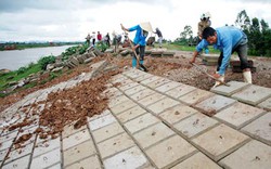  Hải Phòng: Đê điều chờ... vốn