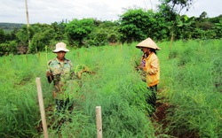 Nợ