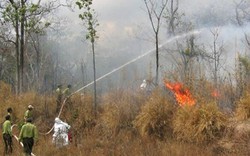 Nguy cơ cháy rừng tại 6 tỉnh