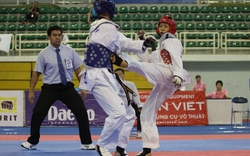 TTVN sẽ tranh tài ở khoảng 22 môn tại ASIAD 2014