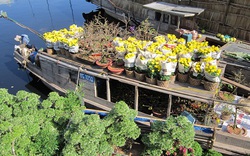 Dạo chợ hoa Xuân bên bến sông Sài Gòn