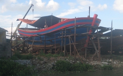 Thái Bình: Hỗ trợ đóng mới tàu cá và mua bảo hiểm thân tàu