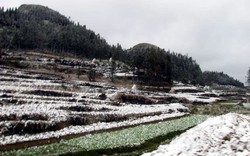 Mưa tuyết trắng xóa ruộng nương ở Hà Giang