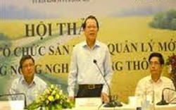 Phó Thủ tướng Vũ Văn Ninh: “Tăng cường liên kết với nông dân”